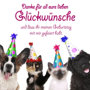 Geburtstag Bild